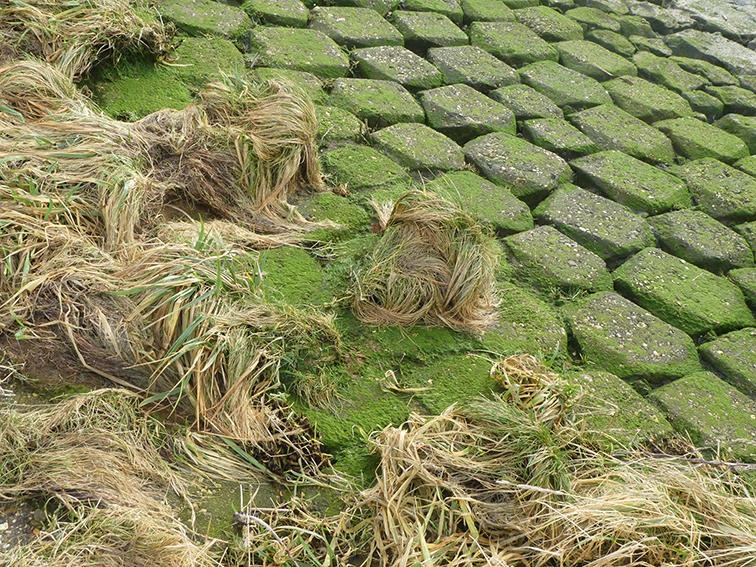 Waterweg
